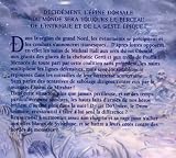 Image de La séquence des Chasseurs, Tome 2 : Le Drow solitaire