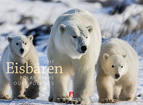 Eisbären 2017