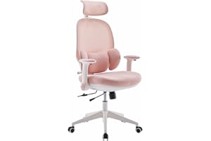 MUSSO T30 Ergonomiczne krzesło biurkowe, 3-poziomowa regulacja głębokości lędźwiowej i siedzenia, regulowany podłokietnik i zagłówek 2D z regulacją wysokości 45°, oddychająca siatka, idealne do nauki