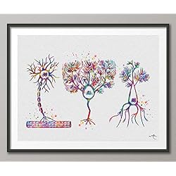 multipolar neurona Watercolor