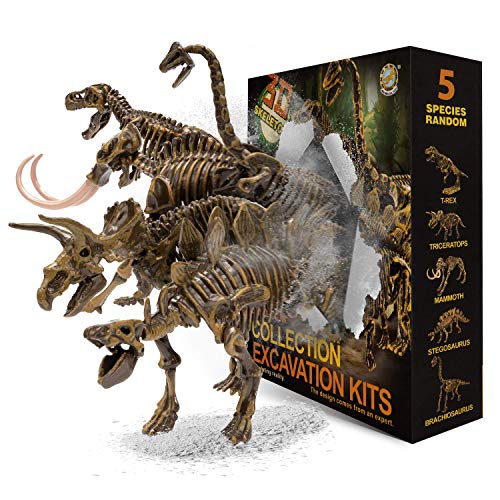 JamBer Dinosaur Toy Skeleton Model Jurassic World Archaeological Excavation Dinosaur Kit Kids Birthday Party Decoration