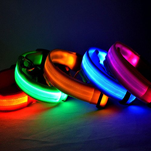 7th-LakeTM-1-X-Adjustable-Pet-Cat-Dog-Glow-LED-Collar-Light-Up-Luminous-Neck-Strap-Prevent-Lose-Pet-collar