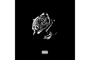 Shoot For The Stars Aim For The Moon