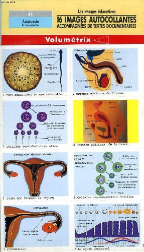 IMAGES AUTOCOLLANTES VOLUMETRIX, N° 45, ANATOMIE, LA REPRODUCTION gratuit IMAGES AUTOCOLLANTES VOLUMETRIX, N° 45, ANATOMIE, LA REPRODUCTION gratuit