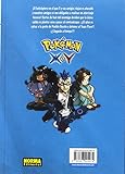 Image de Pokémon X-Y 3