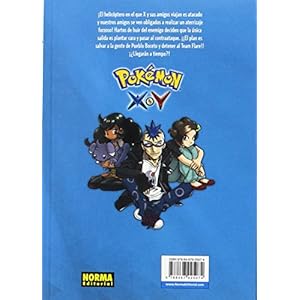 Pokémon X-Y 3