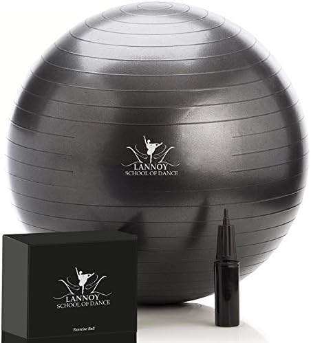 66cm Swiss Ball with Hand Pump by LSPA for use in Yoga, as a Birthing Ball, Exercise Ball and Even as a Swiss Ball Seat