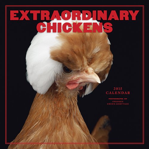 Download Extraordinary Chickens 2015 Wall Calendar (Calendars 2015)