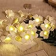 SATYAM KRAFT 1 Pcs Battery Operated Plumeria Flower String Lights 10 Artificial Hawaii Foam Flower Fairy String Rice Led Light for Mandir Pooja Room,Valentine,Wedding, Birthday(Acrylic,1.5 Meter)