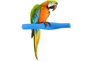 BESPORTBLE pájaros moler Soporte limas para uñas limas uñas Perchas de pájaros para cacatúas pequeño Loro Jaula de pájaros porronet Percha de pájaro Juguetes para periquitos Larga a su