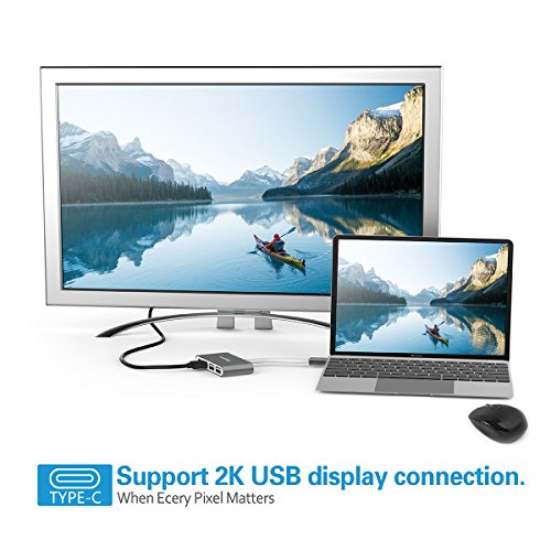 LENTION 4-in1-USB-C-Multiport-Hub / USB-C-Dock mit Typ C, USB 3.0, USB 2.0 Ports für New Macbook 12″ / ChromeBook, Pro Retina 13 15, Surface, Dell XPS u.a., Multiport-Adapter zum Aufladen und Verbinden in den Dark Gray - 4