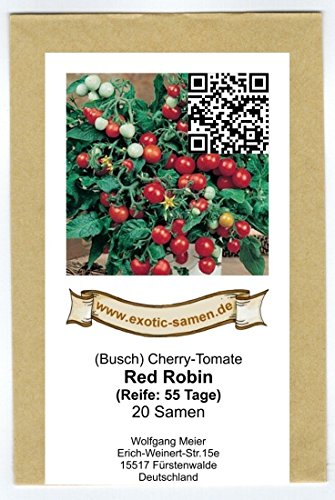 Rote Minitomate für die Fensterbank – Red Robin – 20 Samen - 2