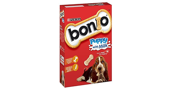 bonio puppy