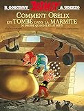 Comment Obelix est tombe dans la marmite du druide... by Rene Goscinny, Albert Uderzo