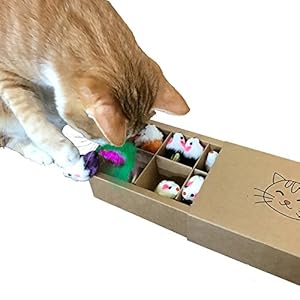 Yangbaga Juguetes para Gatos Juguetes Interactivo Ratón y Bolas Varias con Campanas y Plumas, Cabezas de Repuesto y Catnip Ball Incluido Gatito Gato (12pc)