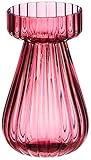 elegante jarrón de jacinto Conjunto de 3 florero de cristal del florero de cristal del jacinto de 14 cm jacintos decoración de la mesa florero El florero de cristal velas ligeras del té linterna de cristal (juego de 3 púrpura)