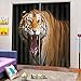 Produktbild Garciadia Cartoon Blackout 3D Fenster Vorhang Tierdruck Kissen Vorhang 438854542 Moderne Hauptdekoration Wohnzimmer Schlafzimmer
