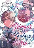 Grimgar of Fantasy and Ash (Light Novel) Vol. 13 by 