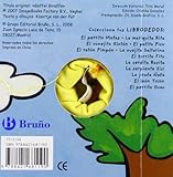 Image de La jirafa Nafa/ The Giraffe Nafa