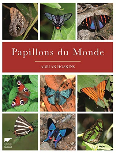 Télécharger Papillons du monde Gratuit