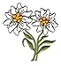 Produktbild Aufnäher Bügelbild Aufbügler Iron on Patches Applikation Trachten Edelweiss 6 x 6cm vor30-2