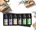 Lagunamoon Essential Oils Top 6 Gift Set - Lavender,Tea Tree,Peppermint,Rosemary,Lemon,Frankincense - Therapeutic Essential Oil 10ml each bottle, 6 Pack