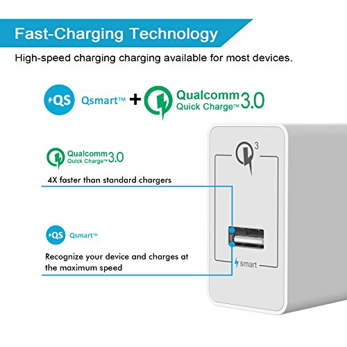 iVoler Quick Charge 3.0 Type C 18W Caricabatteria USB da Muro con Cavo 2 in 1 Tipo C e Micro USB Cavo Ricarica per Samsung Galaxy S9/S9 Plus/S8/S8+/S7/S7 Edge/ S6/S6 Edge/+/Note 8/5/4/Edge, LG G6/G5/G4, Asus Zenfone 4/3/2, Android Smartphone, Tablet, iPhone, iPad, e gli altri dispositivi USB (Bianco)