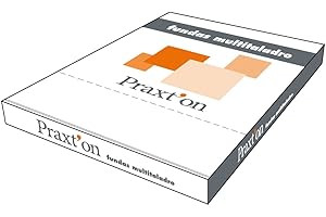 PARDO Funda Plástico PRAXTON Cristal Folio Multitaladro, Caja x100