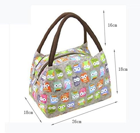 Fashion OWL Oxford cloth water proof Handbag meal bag for travel camping work school lunch box (26*18*18 CM)