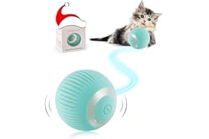 Havenfly Interaktives Katzenspielzeug Ball für den Innenbereich, Elektrisches Katzenspielzeug, Intelligenter Beweglicher Katzenball, REGT die Jagdneugier von Kätzchen an, Schönes Geschenk (Blau)