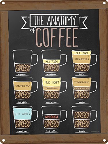 Die Anatomie der Kaffee Blechschild 30,5 x 40.7 Cm