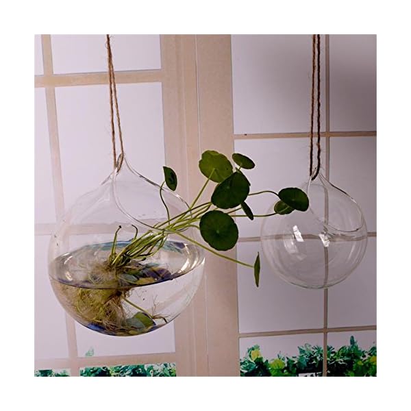Wicemoon 3pcs Cuelgue La Pared Del Florero Colgante De Cristal