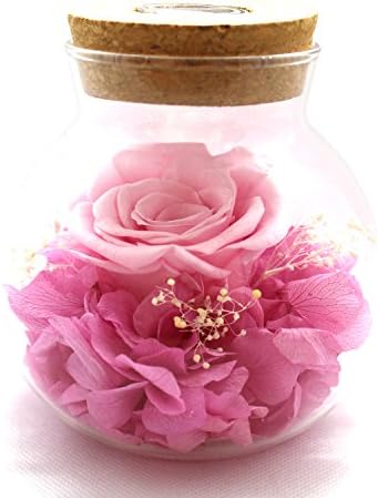 [New Version 2017] Havenfly Handmade Preserved Flowers Rose Decor with Apple-Shaped Glass-Best Gift for Valentine's Day, Mother's Day, Birthday (Blue)