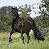 Pferde 2018 - Tierkalender, Broschürenkalender, Wandkalender, Pferdekalender - 30 x 30 cm by 