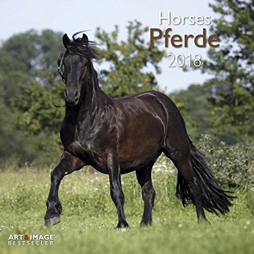 Pferde 2018 - Tierkalender, Broschürenkalender, Wandkalender, Pferdekalender - 30 x 30 cm