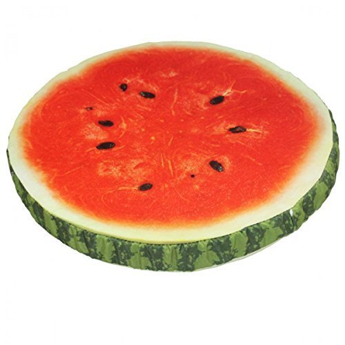 Frucht-Sitzkissen Dekokissen Stuhlkissen Zierkissen in verschiedene Motive (2er-Vorteilspaket, Melone)