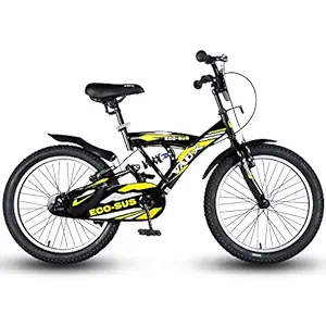 Vaux Eco-Sus 20T Kids Bicycle for Boys?