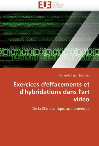 Exercices d'effacements et d'hybridations dans l'art vidéo