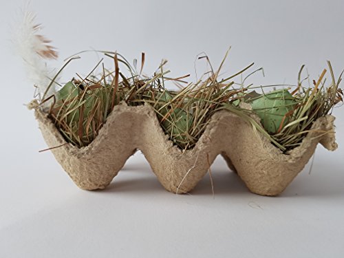 Preisvergleich Produktbild Osterdekoration Körbchen mit Eierschalen (grün)