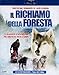 Il richiamo della foresta