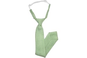 DB Dickie Bow Corbata elástica de mezcla de algodón para niños, color verde salvia, Verde Salvia, Talla única