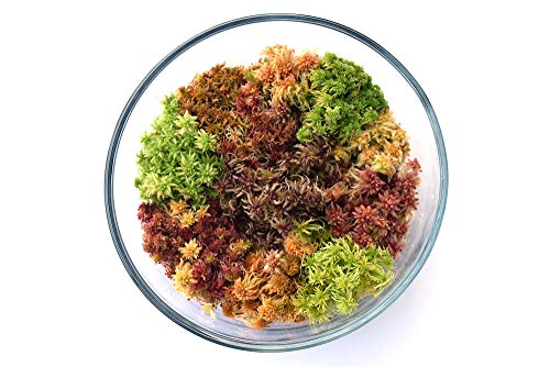 Preisvergleich Produktbild Glon: Deluxe Sphagnum Mix by Farmerly