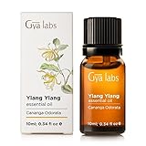 aceite esencial ylang ylang precio Para Lush hermoso cabello y piel radiante, Ylang Ylang es el compañero ideal para restablecer el equilibrio limpia y nutre tanto su piel y cabello, siendo un poderoso Hydrating, equilibrio y solución de limpieza para irritación de la piel.