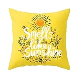 El paquete incluye: 1 funda de almohada (no incluye el núcleo de almohada).