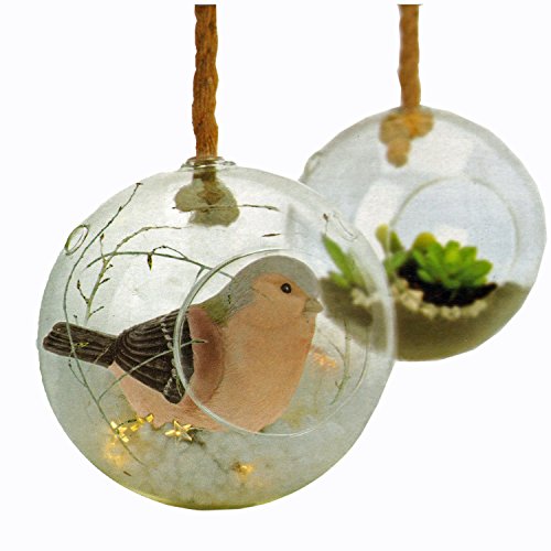 XXL Glaskugel Vase zum aufhängen und Dekorieren mit Pflanzen oder Sukkulenten – Durchmesser 20 cm - 4