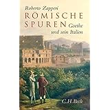 Der Wanderer Goethe In Italien Amazon De Miller Norbert Bucher