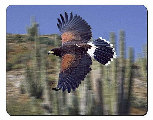 Advanta GroupFlying Harris Hawk Bird of Prey Computer Mouse Mat