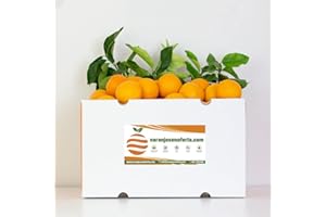 NARANJAS NEO NARANJAS DE ZUMO ORIGEN VALENCIA. RECIEN RECOLECTADAS. (15KG)