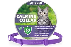 YOTANGO Beruhigendes Halsband für Katzen, Beruhigendes Halsband mit Pheromonen Einstellbares, Wasserdichtes Beruhigungshalsband für Katzen mit 60 Tagen Wirkung für Kätzchen Mittelgroße Große Katzen in Lila