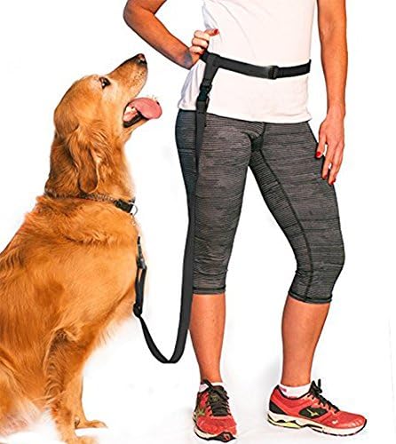 Dog Leash For Running Jogging Dog Walking Training Lead Rope Hands-Free (No Collar) - Black